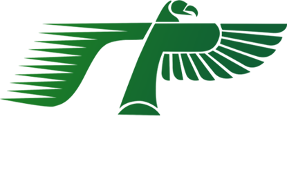 لوگو اسپانتا وب