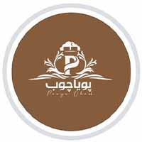 شرکت پویا چوب